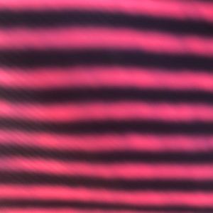 Meet your Posher, Ali